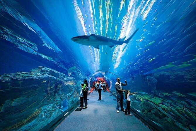 Dubai Aquarium